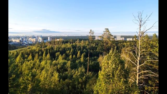 Р Рождественский  Неправда, что время уходит  #философскаялирика #поэты20века