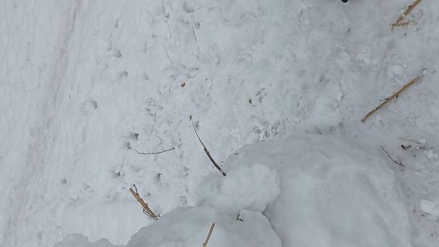 пришла зима смотреть онлайн