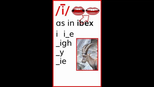 Vowel Valley Animal Chants смотреть онлайн