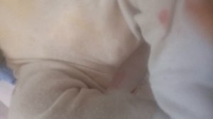 VID_20250122_204419.mp4