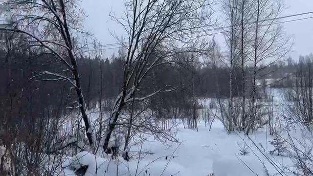 ЗУ в д. Пешки :2783 смотреть онлайн