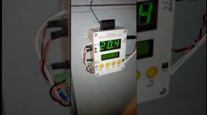 Инкубатор для вывода пчелиных маток