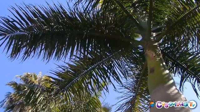 Jardín Americano - Sevilla смотреть онлайн