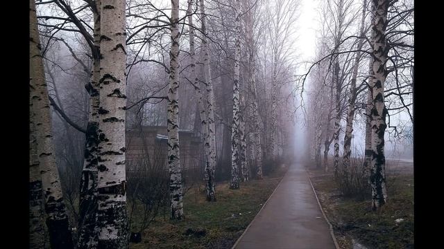 Б Ахмадулина  Не уделяй мне много времени #стихиолюбви  #поэты20века