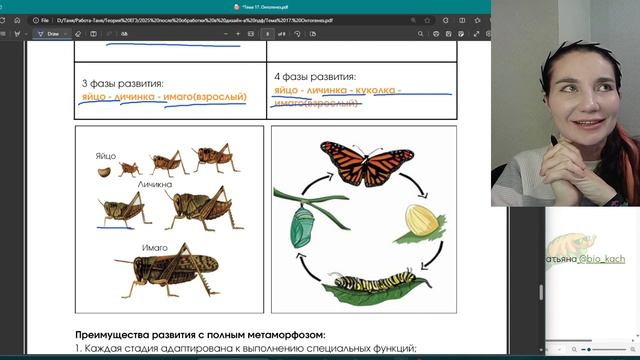 Головастик - это личинка? Преимущества развития с метаморфозом