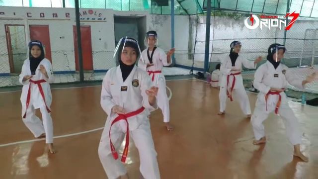 Orion Taekwondo Jaguar Club. Agility, Speed, Power exercise part 2 смотреть онлайн