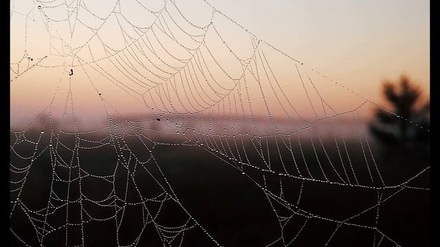 В Высоцкий  Маски #философскаялирика #авторскаяпесня #поэты20века