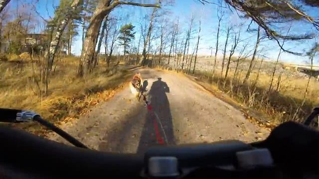 Tartarin kanssa kickbikella 20151030 смотреть онлайн