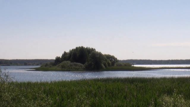 Здравствуй Торопец 2021 смотреть онлайн