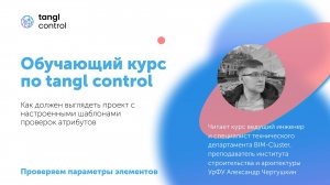[Курс «Tangl Control»] Как должен выглядеть проект с настроенными шаблонами проверок атрибутов