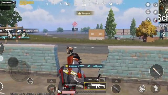 вот какие крысы бывают смотреть онлайн