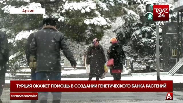 ТУРЦИЯ ОКАЖЕТ ПОМОЩЬ В СОЗДАНИИ ГЕНЕТИЧЕСКОГО БАНКА РАСТЕНИЙ смотреть онлайн