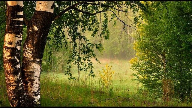 А  Твардовский   К обидам горьким собственной персоны…#философскаялирика #поэты20века