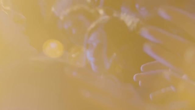 vioria - хеллоу кітті (Official Video) смотреть онлайн