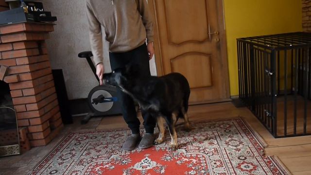 команда Ручки смотреть онлайн