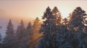 ХИТЫ 2023, ЛУЧШИЕ ПЕСНИ 2023, НОВАЯ МУЗЫКА 2023