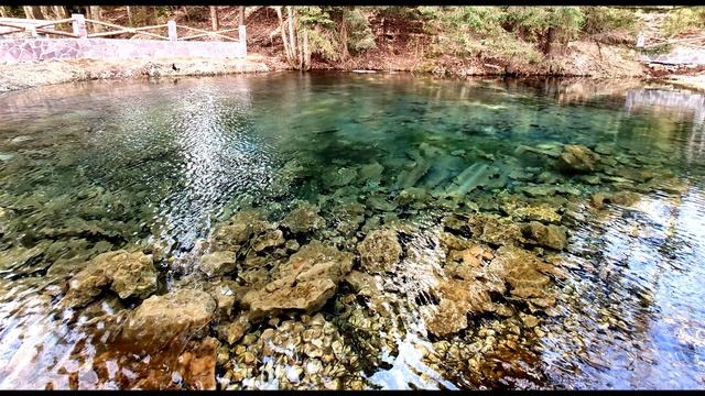 А  Ахматова  Как соломинкой, пьешь мою душу #стихиолюбви #поэтысеребряноговека