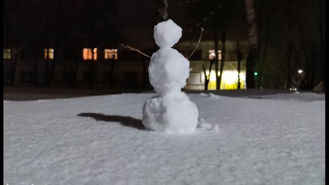 Н Рубцов  Выпал снег   и всё забылось  #стихиозиме#философскаялирика #поэты20века