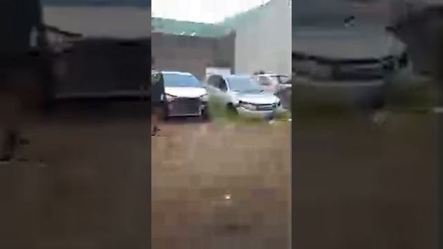 @DekaReset ready stok ex taksi смотреть онлайн
