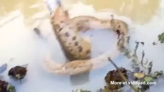 Неожиданный улов смотреть онлайн