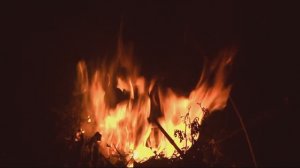 24 марта день Учителя М.