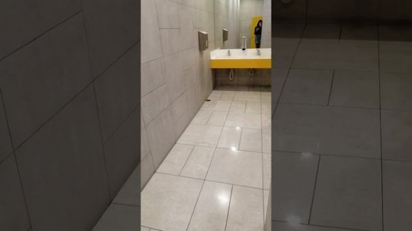 Crossdresser In the public restroom of the mall. Sexy mini skirt, high hells and stockings.