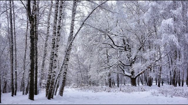 В  Брюсов  Первый снег #стихиозиме #стихиоприроде #поэтысеребряноговека