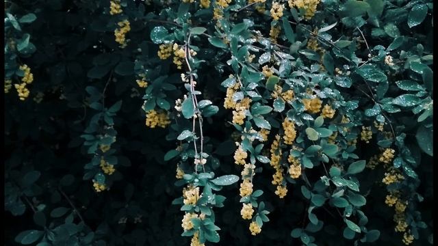 Р Рождественский  Отец и сын #стихиовойне  #поэты20века