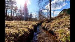 А  Ахматова  Ночь моя -  бред о тебе #стихиолюбви #поэтысеребряноговека