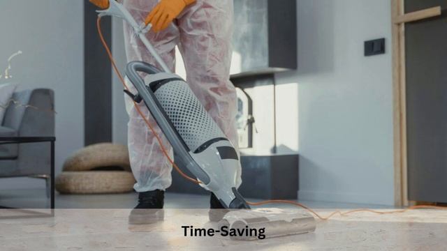 Professional Cleaners