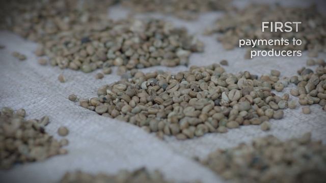 Coffee Farming in South Sudan смотреть онлайн