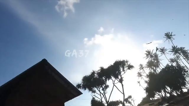 Hopium Right Now VIP (GA37MUSIC NEW Music Clip, House Music) смотреть онлайн