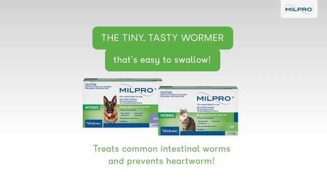 Milpro® - Worming without the Fuss смотреть онлайн