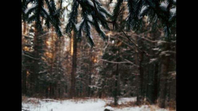 Б Ахмадулина  Какое блаженство, что блещут снега #стихиозиме #поэты20века #стихиоНовомгоде