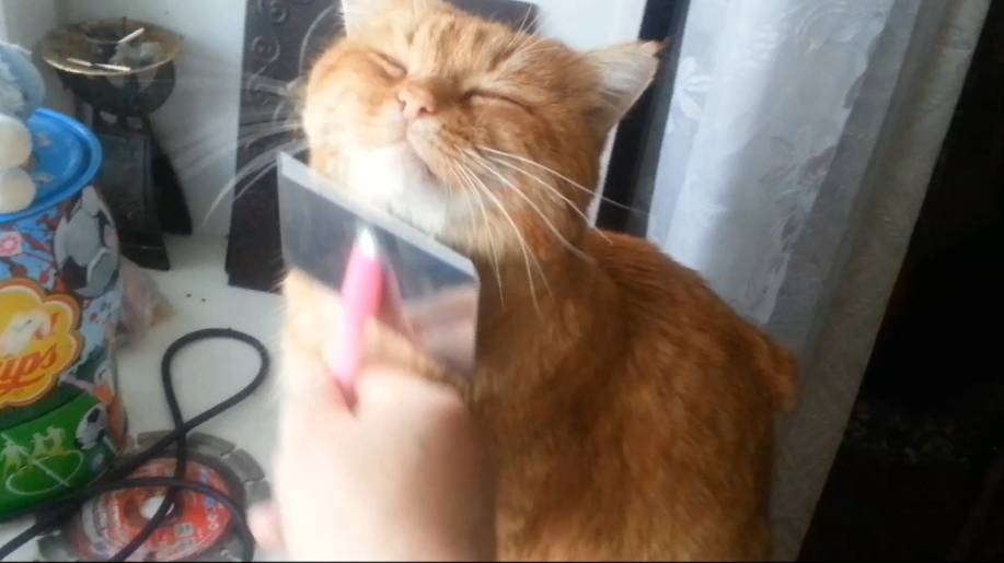 Любимая щётка смотреть онлайн