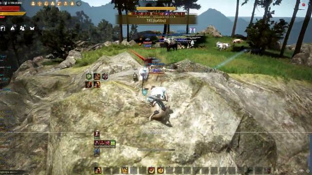 Black Desert
