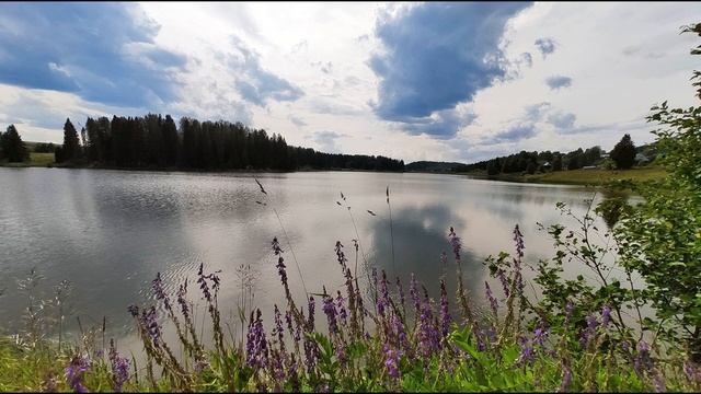 М  Лермонтов  Нет, я не Байрон, я другой  #гражданскаялирика #поэты19века