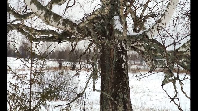 В Маяковский  Сергею Есенину #гражданскаялирика #поэты20века