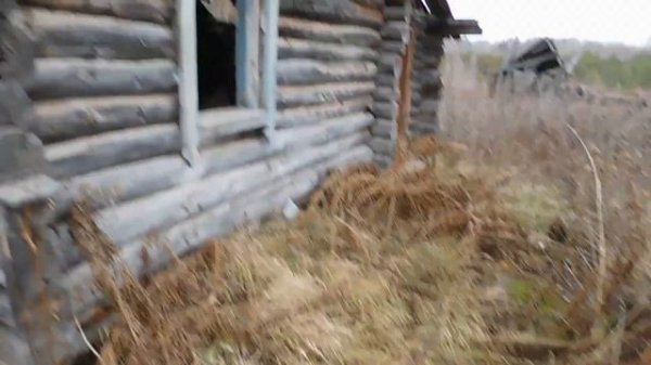 Обычный отдых