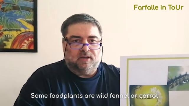 Farfalle In ToUr - INTRODUZIONE