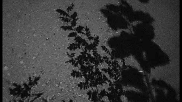 В Брюсов  Всем #стихиолюбви  #поэтыСеребряноговека