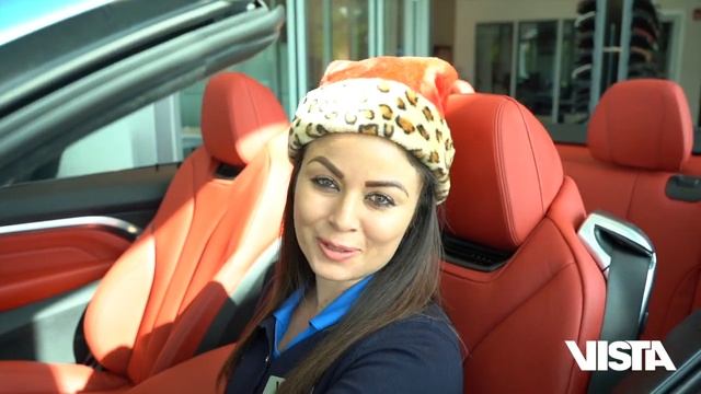 Happy Holidays From Vista Motors #BMW Pompano Beach смотреть онлайн