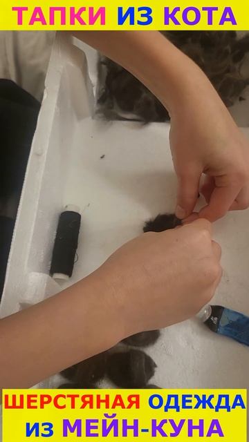 Тапки из кота #cat #cats #animals #топ #doll #clothing #slipper #handmade #shortvideo #short #shorts смотреть онлайн