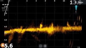 Active Target 2.
Детализация.