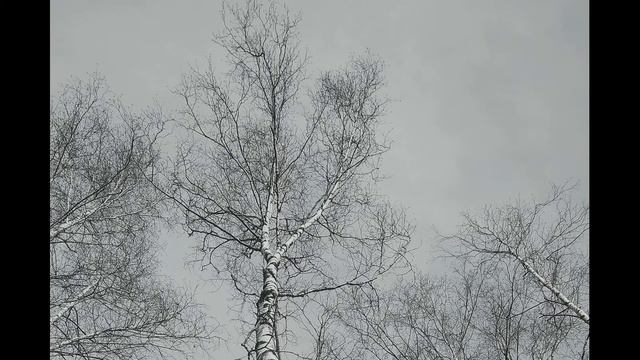 Б Ахмадулина  Бог памяти, бог забыванья! #философскаялирика #поэты20века