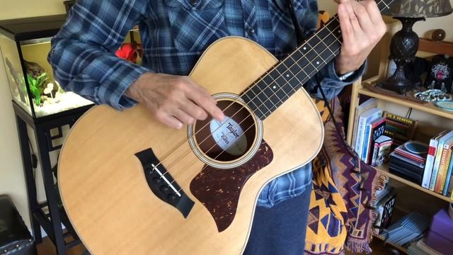 Taylor GS Mini e-bass Practice Demo Clip смотреть онлайн