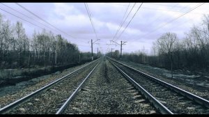 Р  Рождественский  Спелый ветер дохнул напористо #философскаялирика #поэты20века