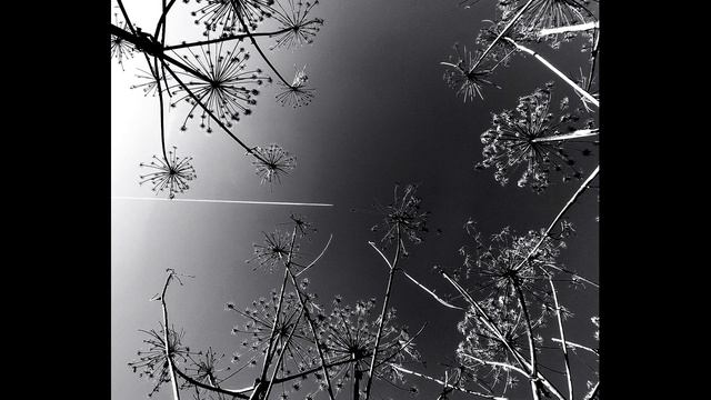 А  Ахматова  Бессонница #стихиолюбви #поэтысеребряноговека