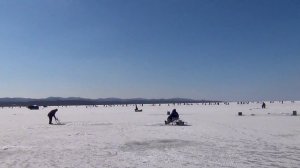 Тайны уловистой блесны для ловли селёдки. Ловлю селёдку на угольной.