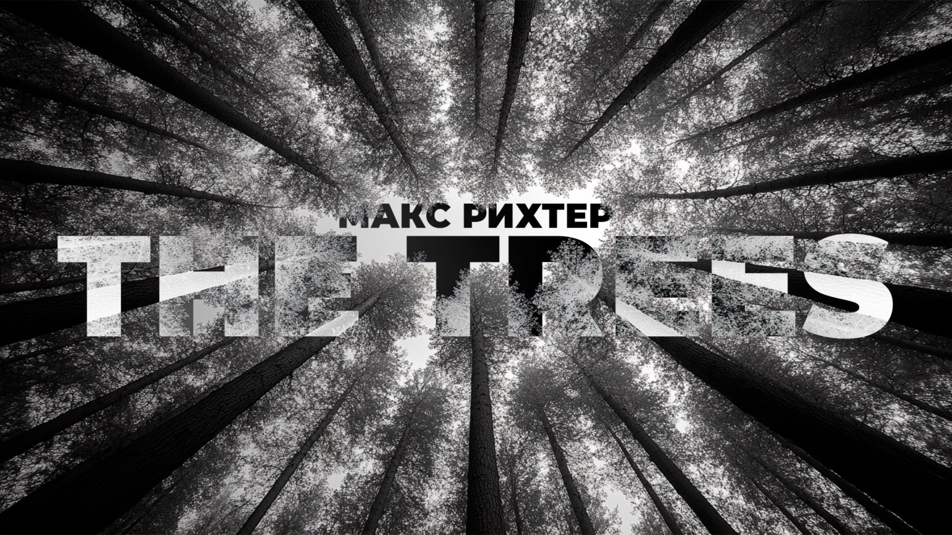 The Trees - Макс Рихтер | Imperial Orchestra смотреть онлайн